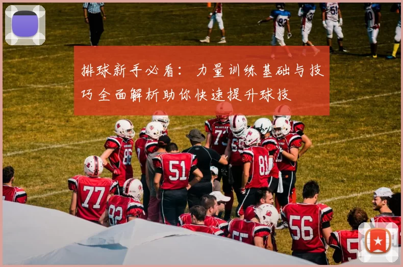 排球新手必看：力量训练基础与技巧全面解析助你快速提升球技