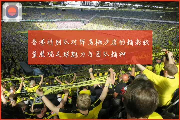 香港特别队对阵鸟栖沙岩的精彩较量展现足球魅力与团队精神