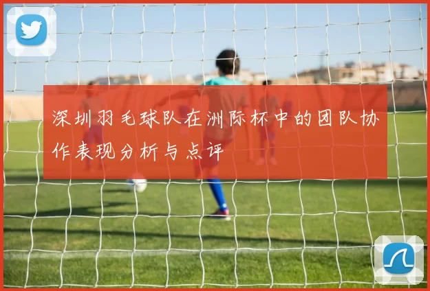 深圳羽毛球队在洲际杯中的团队协作表现分析与点评