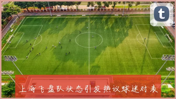 上海飞盘队状态引发热议球迷对表现褒贬不一分析深入