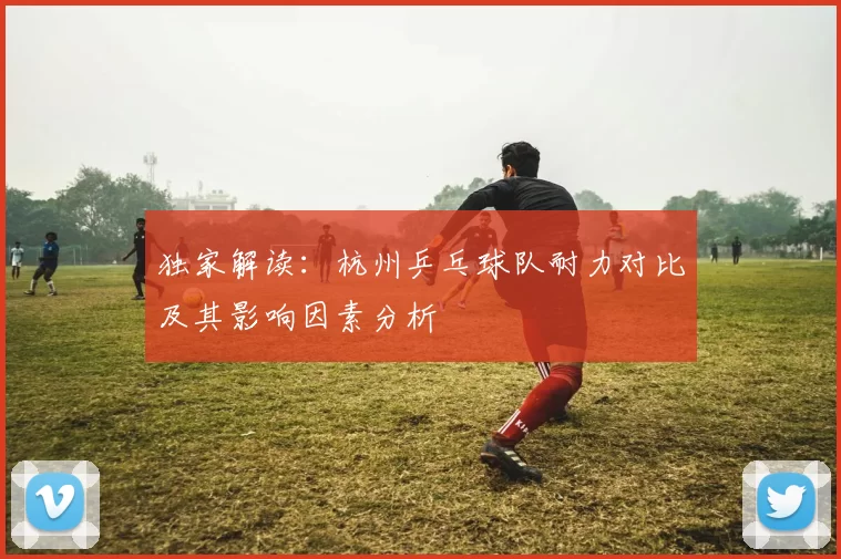独家解读：杭州乒乓球队耐力对比及其影响因素分析