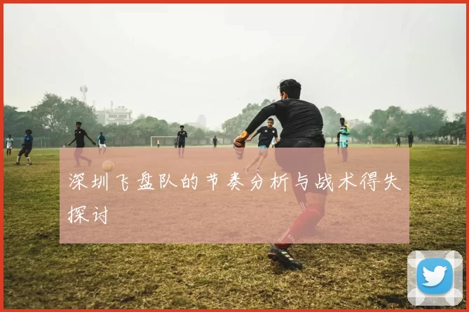 深圳飞盘队的节奏分析与战术得失探讨