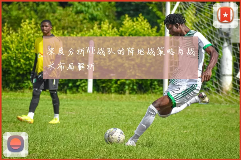 深度分析WE战队的阵地战策略与战术布局解析