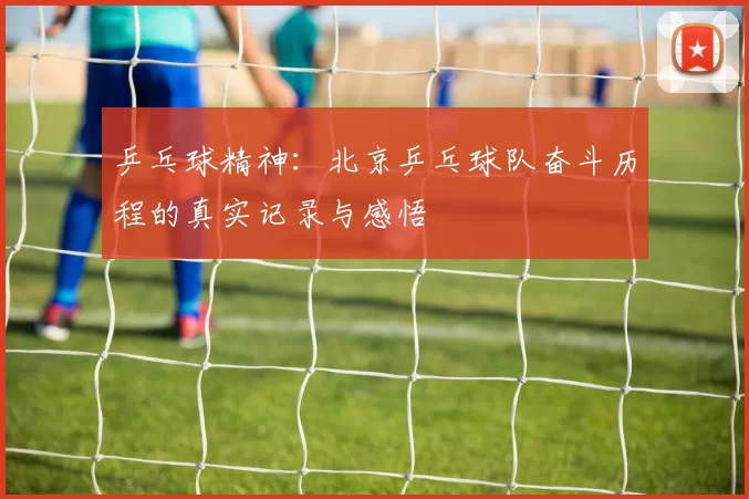 乒乓球精神：北京乒乓球队奋斗历程的真实记录与感悟