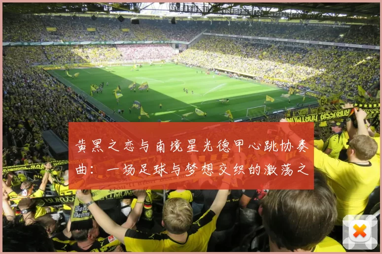 黄黑之恋与南境星光德甲心跳协奏曲：一场足球与梦想交织的激荡之旅