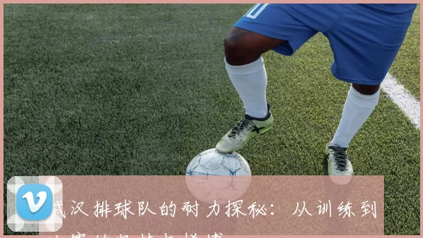 武汉排球队的耐力探秘：从训练到比赛的坚持与拼搏