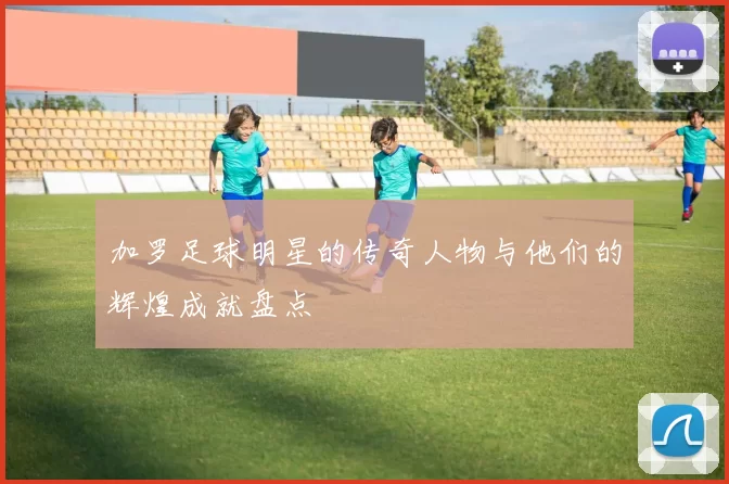 加罗足球明星的传奇人物与他们的辉煌成就盘点