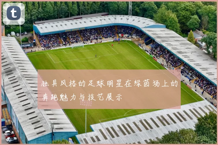 独具风格的足球明星在绿茵场上的奔跑魅力与技艺展示