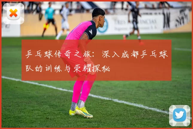 乒乓球传奇之旅：深入成都乒乓球队的训练与荣耀探秘