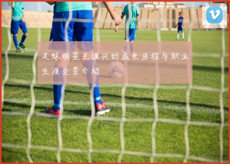 足球明星王振兴的成长历程与职业生涯全景介绍