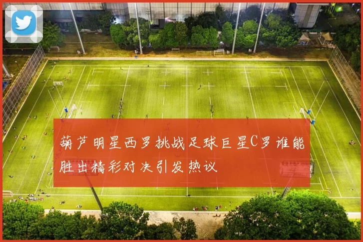 葫芦明星西罗挑战足球巨星C罗谁能胜出精彩对决引发热议