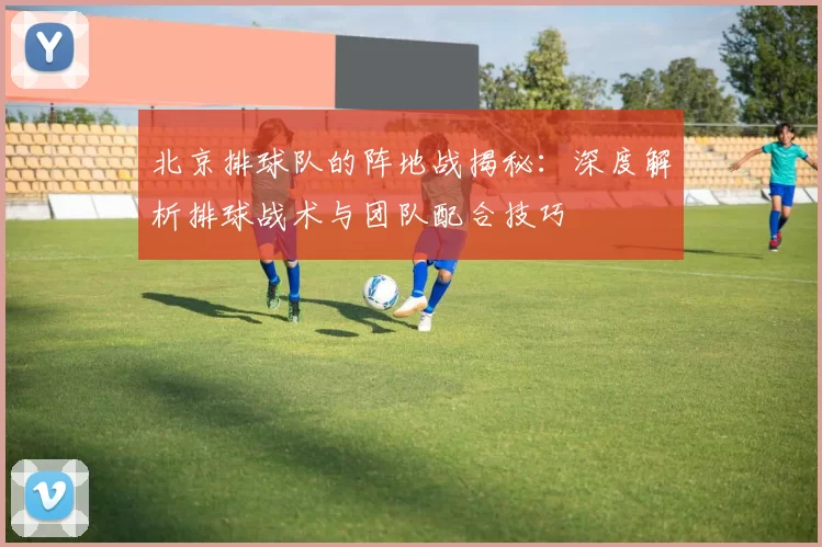 北京排球队的阵地战揭秘：深度解析排球战术与团队配合技巧