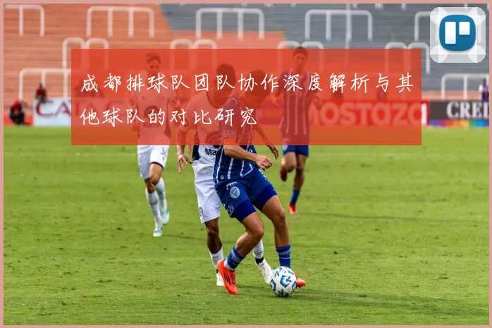 成都排球队团队协作深度解析与其他球队的对比研究