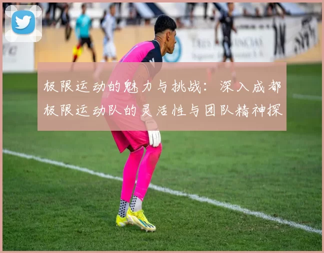 极限运动的魅力与挑战：深入成都极限运动队的灵活性与团队精神探索