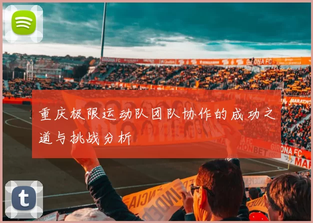 重庆极限运动队团队协作的成功之道与挑战分析
