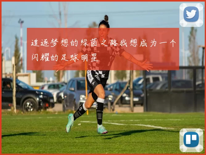 追逐梦想的绿茵之路我想成为一个闪耀的足球明星