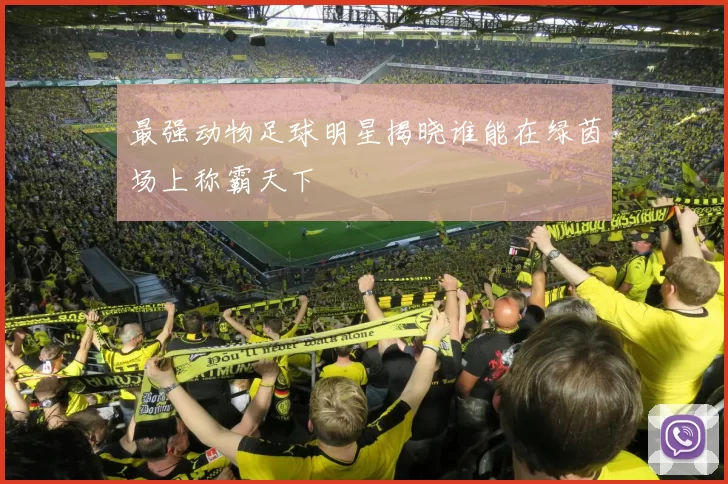 最强动物足球明星揭晓谁能在绿茵场上称霸天下