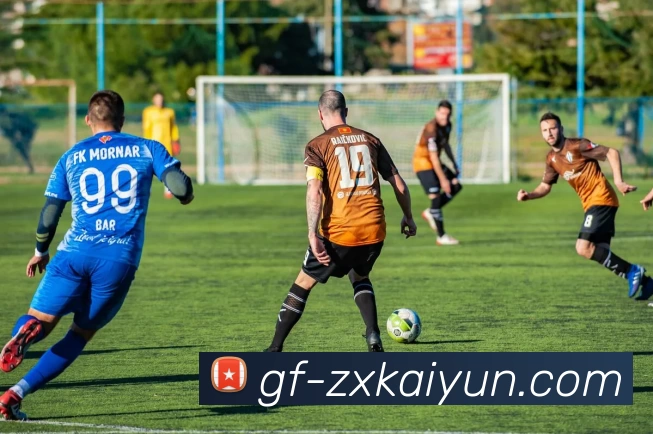 开云APP服务体系